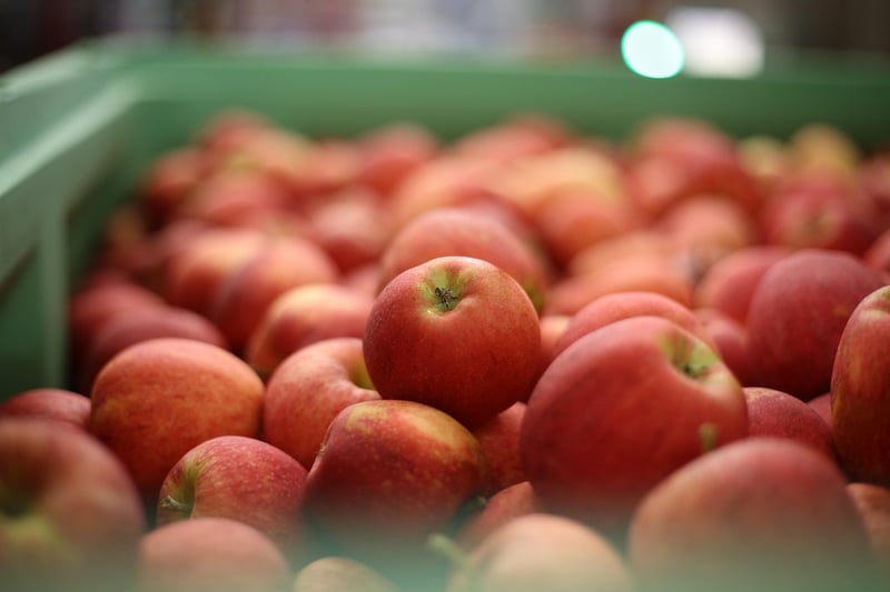 Apples