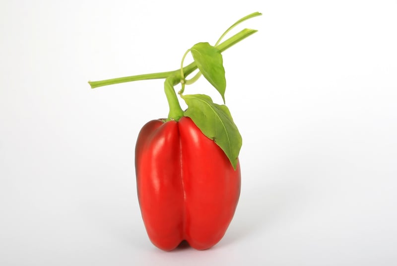 Bell Peppers